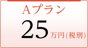 Aプラン 25万円(税別)