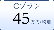 Cプラン 45万円(税別)