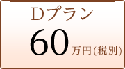 Dプラン 60万円(税別)